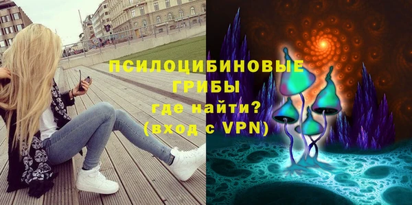 ГАЛЛЮЦИНОГЕННЫЕ ГРИБЫ Алексеевка