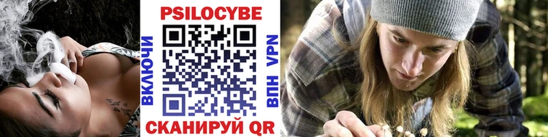 Галлюциногенные грибы Psilocybine cubensis  как найти наркотики  Каргат 